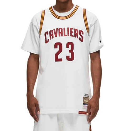Mitchell ness lebron - mitchell, james